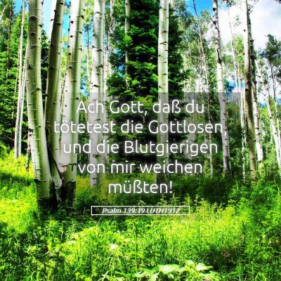 Picture 05 - Psalm 139:19 LUTH1912 - Ach Gott, daß du tötetest die Gottlosen, und - Bible Verse Picture