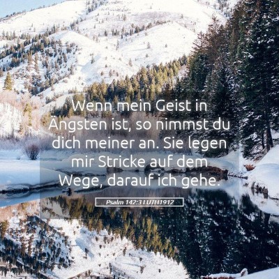 Picture 05 - Psalm 142:3 LUTH1912 - Wenn mein Geist in Ängsten ist, so nimmst du - Bible Verse Picture
