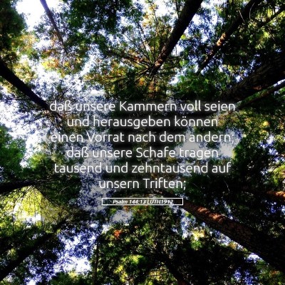 Picture 05 - Psalm 144:13 LUTH1912 - daß unsere Kammern voll seien und herausgeben - Bible Verse Picture