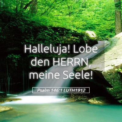 Picture 05 - Psalm 146:1 LUTH1912 - Halleluja! Lobe den HERRN, meine - Bible Verse Picture
