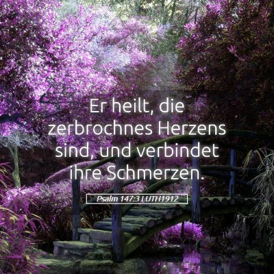 Picture 05 - Psalm 147:3 LUTH1912 - Er heilt, die zerbrochnes Herzens sind, und - Bible Verse Picture