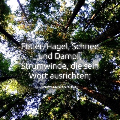 Picture 05 - Psalm 148:8 LUTH1912 - Feuer, Hagel, Schnee und Dampf, Strumwinde, die - Bible Verse Picture