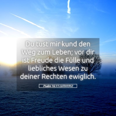 Picture 05 - Psalm 16:11 LUTH1912 - Du tust mir kund den Weg zum Leben; vor dir ist - Bible Verse Picture