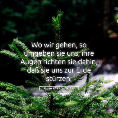 Picture 05 - Psalm 17:11 LUTH1912 - Wo wir gehen, so umgeben sie uns; ihre Augen - Bible Verse Picture