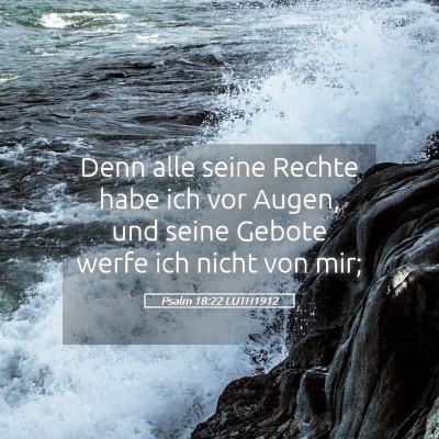 Picture 05 - Psalm 18:22 LUTH1912 - Denn alle seine Rechte habe ich vor Augen, und - Bible Verse Picture