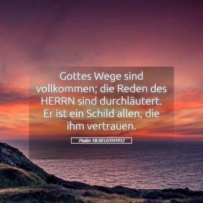 Picture 05 - Psalm 18:30 LUTH1912 - Gottes Wege sind vollkommen; die Reden des HERRN - Bible Verse Picture
