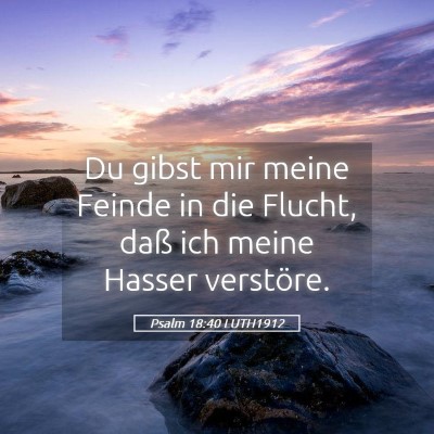 Picture 05 - Psalm 18:40 LUTH1912 - Du gibst mir meine Feinde in die Flucht, daß ich - Bible Verse Picture