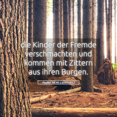 Picture 05 - Psalm 18:45 LUTH1912 - die Kinder der Fremde verschmachten und kommen - Bible Verse Picture