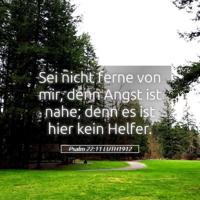 Picture 05 - Psalm 22:11 LUTH1912 - Sei nicht ferne von mir, denn Angst ist nahe; - Bible Verse Picture