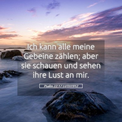 Picture 05 - Psalm 22:17 LUTH1912 - Ich kann alle meine Gebeine zählen; aber sie - Bible Verse Picture
