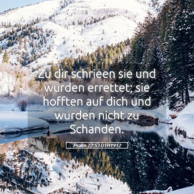 Picture 05 - Psalm 22:5 LUTH1912 - Zu dir schrieen sie und wurden errettet; sie - Bible Verse Picture
