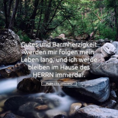 Picture 05 - Psalm 23:6 LUTH1912 - Gutes und Barmherzigkeit werden mir folgen mein - Bible Verse Picture