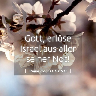 Picture 05 - Psalm 25:22 LUTH1912 - Gott, erlöse Israel aus aller seiner - Bible Verse Picture