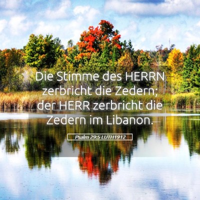 Picture 05 - Psalm 29:5 LUTH1912 - Die Stimme des HERRN zerbricht die Zedern; der - Bible Verse Picture