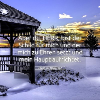 Picture 05 - Psalm 3:3 LUTH1912 - Aber du, HERR, bist der Schild für mich und der - Bible Verse Picture