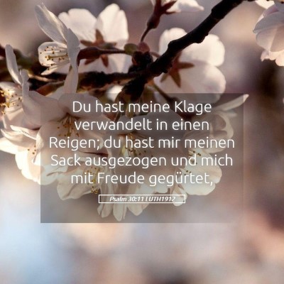 Picture 05 - Psalm 30:11 LUTH1912 - Du hast meine Klage verwandelt in einen Reigen; - Bible Verse Picture