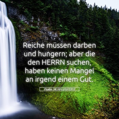 Picture 05 - Psalm 34:10 LUTH1912 - Reiche müssen darben und hungern; aber die den - Bible Verse Picture
