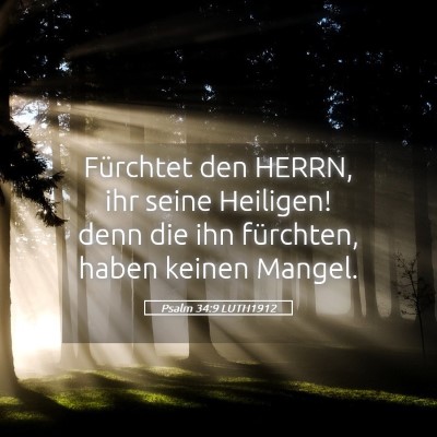 Picture 05 - Psalm 34:9 LUTH1912 - Fürchtet den HERRN, ihr seine Heiligen! denn die - Bible Verse Picture