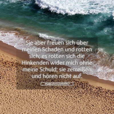 Picture 05 - Psalm 35:15 LUTH1912 - Sie aber freuen sich über meinen Schaden und - Bible Verse Picture