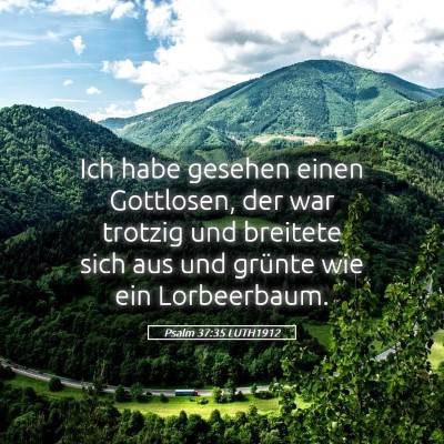 Picture 05 - Psalm 37:35 LUTH1912 - Ich habe gesehen einen Gottlosen, der war trotzig - Bible Verse Picture