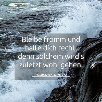 Picture 05 - Psalm 37:37 LUTH1912 - Bleibe fromm und halte dich recht; denn solchem - Bible Verse Picture