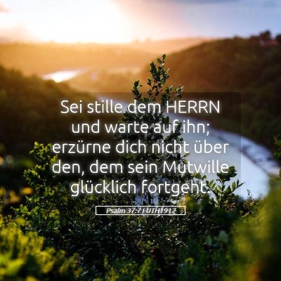 Picture 05 - Psalm 37:7 LUTH1912 - Sei stille dem HERRN und warte auf ihn; erzürne - Bible Verse Picture