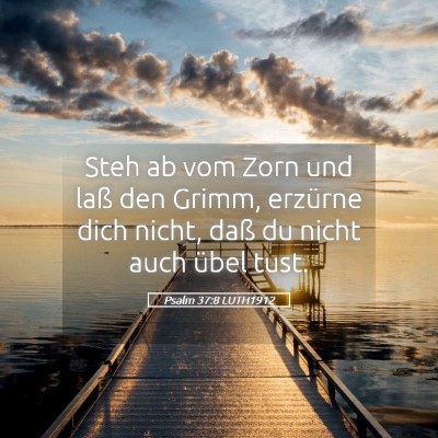 Picture 05 - Psalm 37:8 LUTH1912 - Steh ab vom Zorn und laß den Grimm, erzürne - Bible Verse Picture