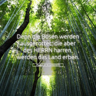 Picture 05 - Psalm 37:9 LUTH1912 - Denn die Bösen werden ausgerottet; die aber des - Bible Verse Picture