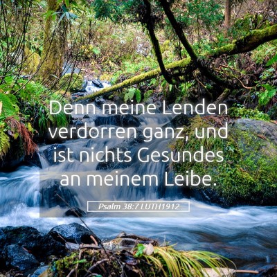 Picture 05 - Psalm 38:7 LUTH1912 - Denn meine Lenden verdorren ganz, und ist nichts - Bible Verse Picture