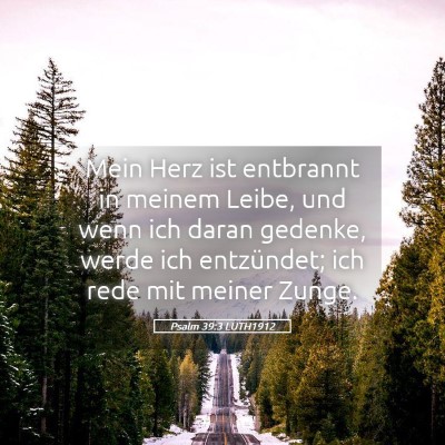 Picture 05 - Psalm 39:3 LUTH1912 - Mein Herz ist entbrannt in meinem Leibe, und wenn - Bible Verse Picture