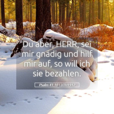 Picture 05 - Psalm 41:10 LUTH1912 - Du aber, HERR, sei mir gnädig und hilf mir auf, - Bible Verse Picture