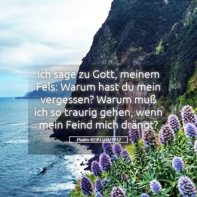 Picture 05 - Psalm 42:9 LUTH1912 - Ich sage zu Gott, meinem Fels: Warum hast du mein - Bible Verse Picture