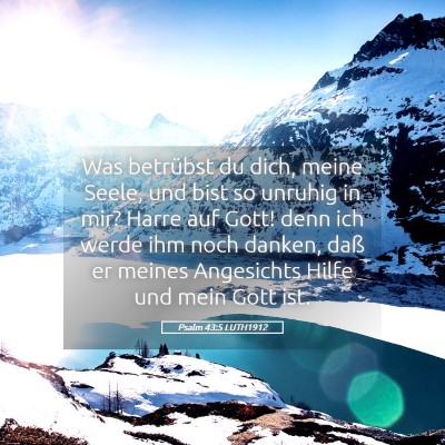 Picture 05 - Psalm 43:5 LUTH1912 - Was betrübst du dich, meine Seele, und bist so - Bible Verse Picture