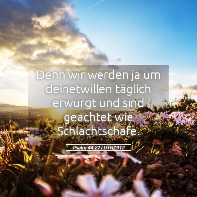 Picture 05 - Psalm 44:22 LUTH1912 - Denn wir werden ja um deinetwillen täglich - Bible Verse Picture