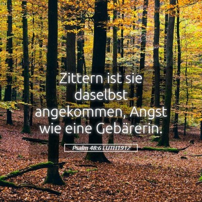 Picture 05 - Psalm 48:6 LUTH1912 - Zittern ist sie daselbst angekommen, Angst wie - Bible Verse Picture