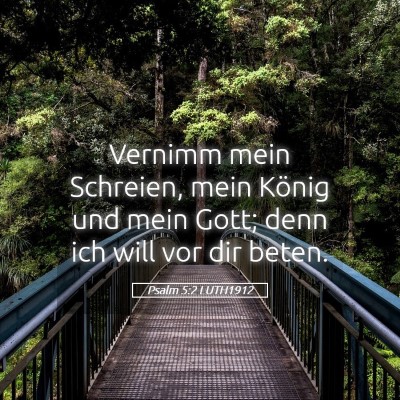 Picture 05 - Psalm 5:2 LUTH1912 - Vernimm mein Schreien, mein König und mein Gott; - Bible Verse Picture