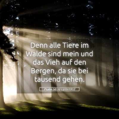 Picture 05 - Psalm 50:10 LUTH1912 - Denn alle Tiere im Walde sind mein und das Vieh - Bible Verse Picture