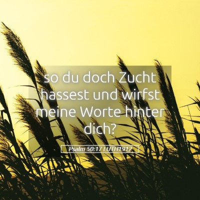 Picture 05 - Psalm 50:17 LUTH1912 - so du doch Zucht hassest und wirfst meine Worte - Bible Verse Picture