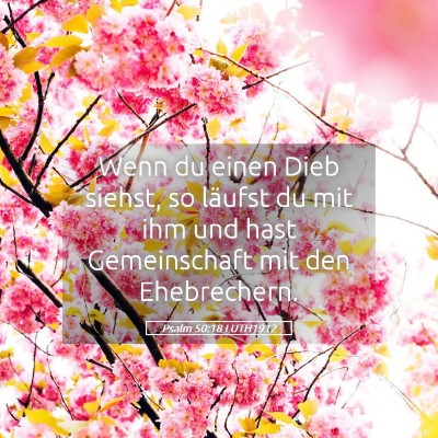 Picture 05 - Psalm 50:18 LUTH1912 - Wenn du einen Dieb siehst, so läufst du mit ihm - Bible Verse Picture