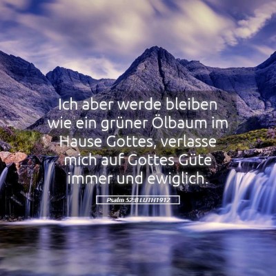Picture 05 - Psalm 52:8 LUTH1912 - Ich aber werde bleiben wie ein grüner Ölbaum im - Bible Verse Picture