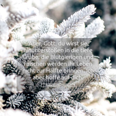 Picture 05 - Psalm 55:23 LUTH1912 - Aber, Gott, du wirst sie hinunterstoßen in die - Bible Verse Picture