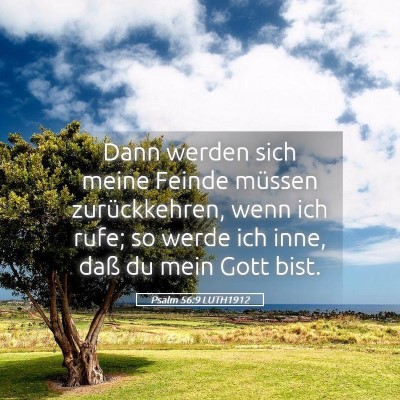 Picture 05 - Psalm 56:9 LUTH1912 - Dann werden sich meine Feinde müssen - Bible Verse Picture