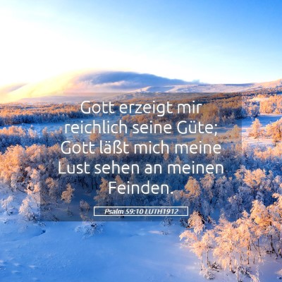Picture 05 - Psalm 59:10 LUTH1912 - Gott erzeigt mir reichlich seine Güte; Gott - Bible Verse Picture