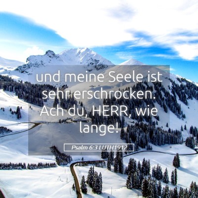 Picture 05 - Psalm 6:3 LUTH1912 - und meine Seele ist sehr erschrocken. Ach du, - Bible Verse Picture