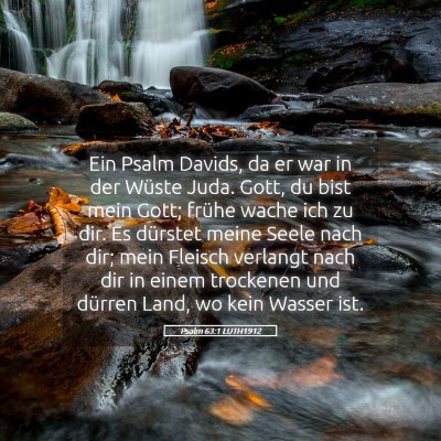 Picture 05 - Psalm 63:1 LUTH1912 - Ein Psalm Davids, da er war in der Wüste Juda. - Bible Verse Picture
