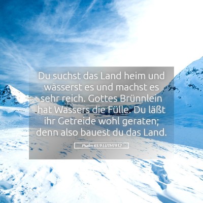 Picture 05 - Psalm 65:9 LUTH1912 - Du suchst das Land heim und wässerst es und - Bible Verse Picture