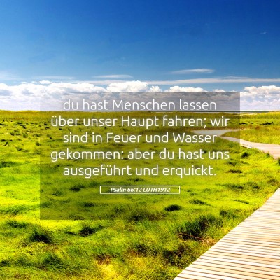 Picture 05 - Psalm 66:12 LUTH1912 - du hast Menschen lassen über unser Haupt fahren; - Bible Verse Picture