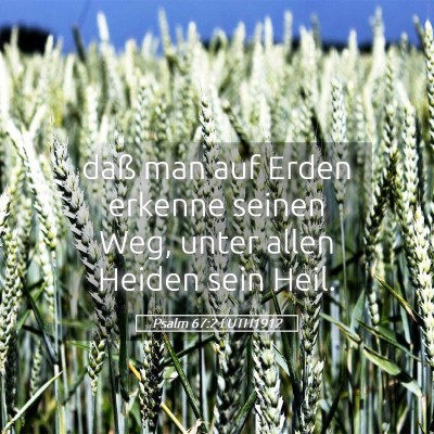 Picture 05 - Psalm 67:2 LUTH1912 - daß man auf Erden erkenne seinen Weg, unter - Bible Verse Picture