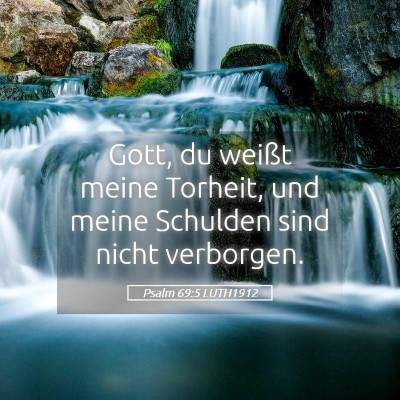 Picture 05 - Psalm 69:5 LUTH1912 - Gott, du weißt meine Torheit, und meine Schulden - Bible Verse Picture