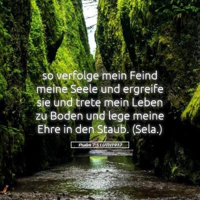 Picture 05 - Psalm 7:5 LUTH1912 - so verfolge mein Feind meine Seele und ergreife - Bible Verse Picture